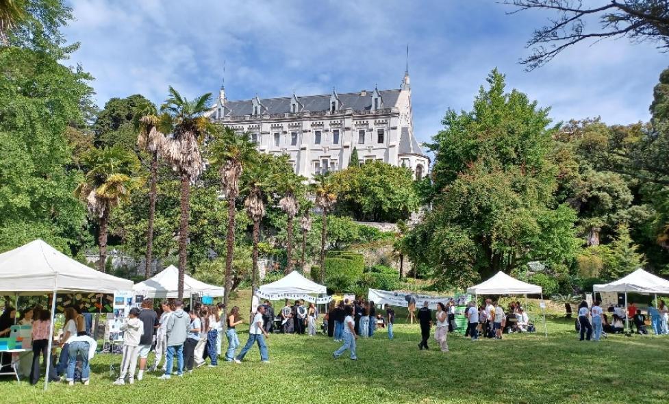 Agrandir l'image, fenêtre modale